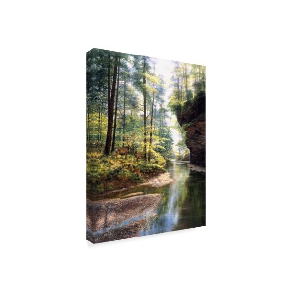 Trademark Fine Art Bill Makinson 'Quiet Forest' Canvas Art, 24x32